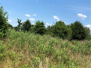 Iola, Texas 77861, United States, ,Land,Active,161950