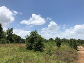 Iola, Texas 77861, United States, ,Land,Active,161950