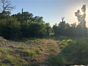 Iola, Texas 77861, United States, ,Land,Active,161950