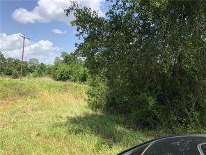 Iola, Texas 77861, United States, ,Land,Active,161950