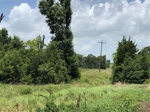 Iola, Texas 77861, United States, ,Land,Active,161950