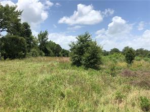 Iola, Texas 77861, United States, ,Land,Active,161950