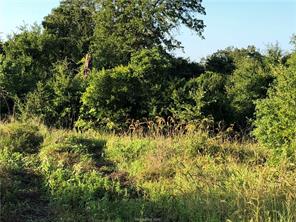 Iola, Texas 77861, United States, ,Land,Active,161950