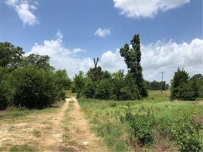 Iola, Texas 77861, United States, ,Land,Active,161950