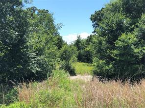 Iola, Texas 77861, United States, ,Land,Active,161950