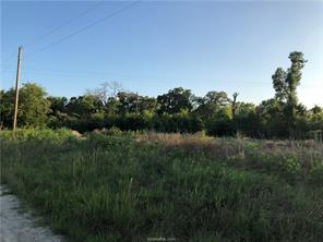 Iola, Texas 77861, United States, ,Land,Active,161950