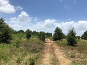 Iola, Texas 77861, United States, ,Land,Active,161950