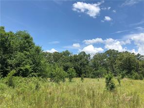 Iola, Texas 77861, United States, ,Land,Active,161950