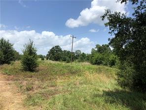 Iola, Texas 77861, United States, ,Land,Active,161950