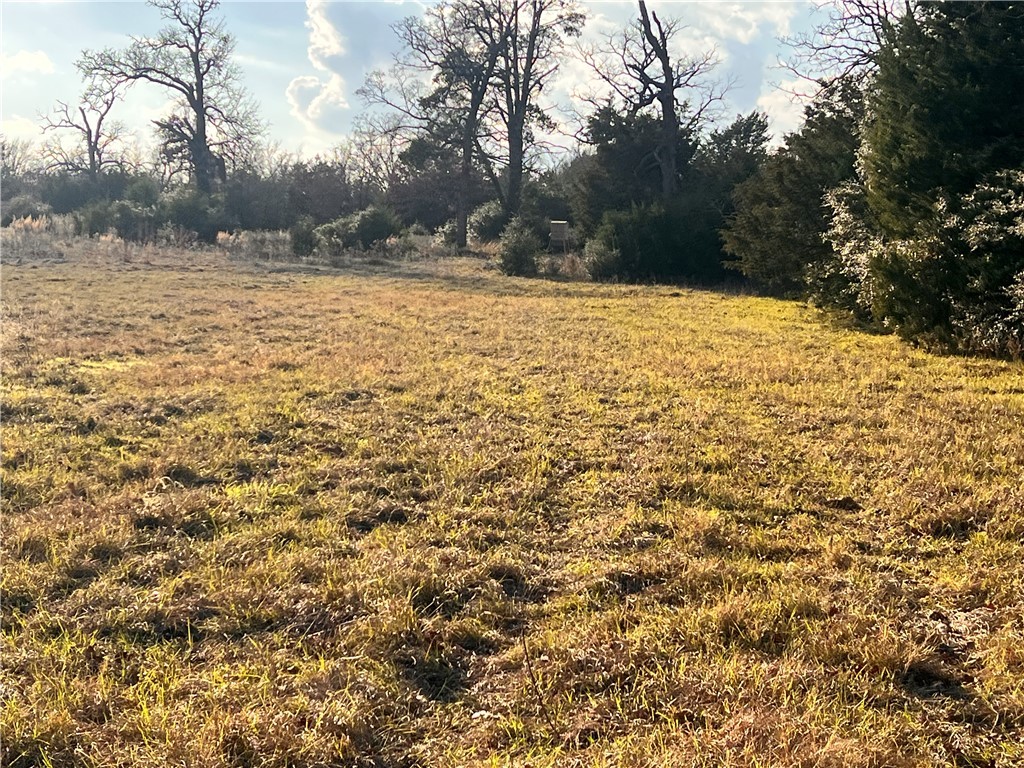 307 Acres TBD FM 1469