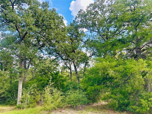 10559 HAMPTON CT, IOLA, TX 77861 - Image ada1d4b6f79a3a856b5f5c2b7bd31507/682297983