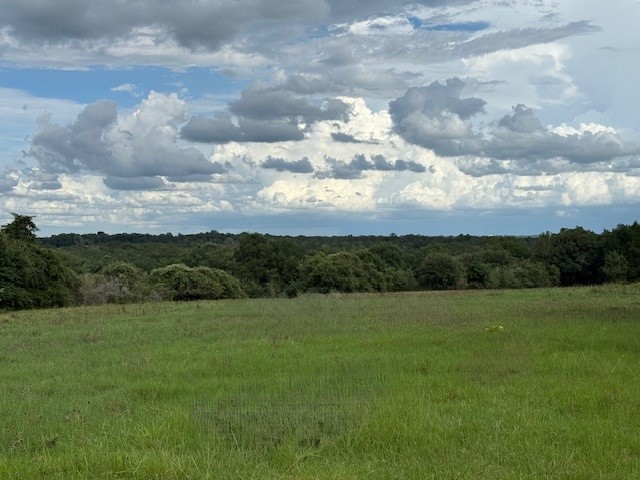 18442 County Road 433