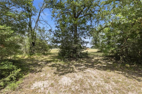 Tiny photo for 11430 Long Trussel Road, Bryan, TX 77808 (MLS # 26009984)