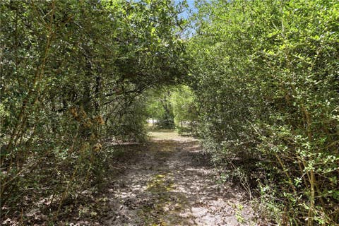 Tiny photo for 11430 Long Trussel Road, Bryan, TX 77808 (MLS # 26009984)