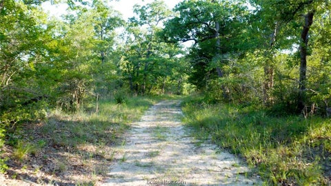 Tiny photo for 4056 Lakeside Club Drive, College Station, TX 77845 (MLS # 26011101)