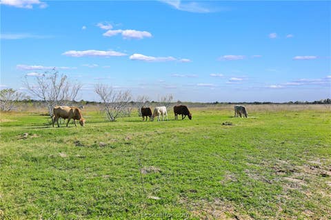 Tiny photo for 3448 CR 270, Cameron, TX 76520 (MLS # 26010083)