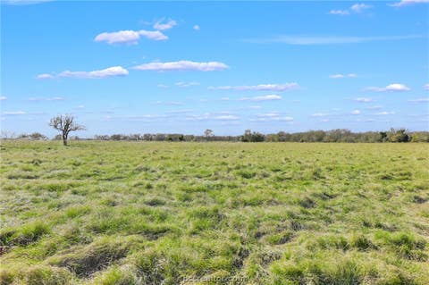 Tiny photo for 3448 CR 270, Cameron, TX 76520 (MLS # 26010083)