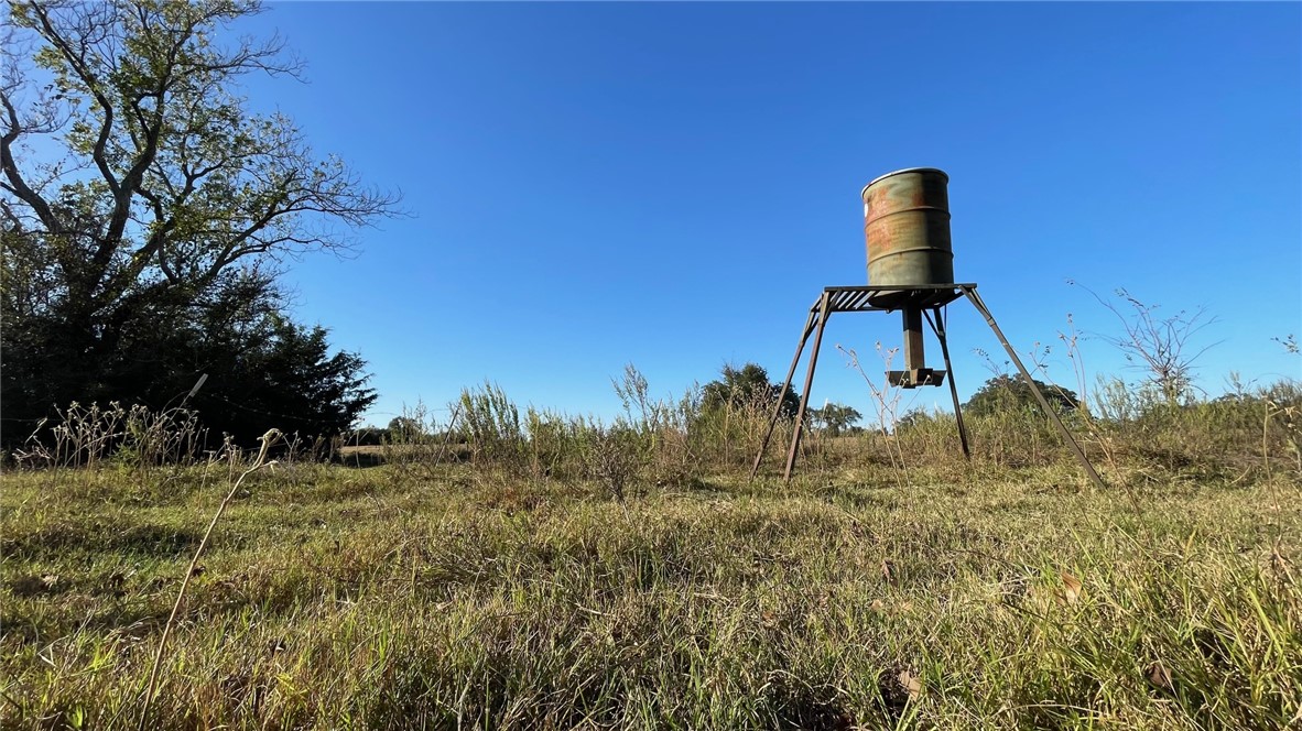 9201 FM 2096 (+/-44.13 acres)