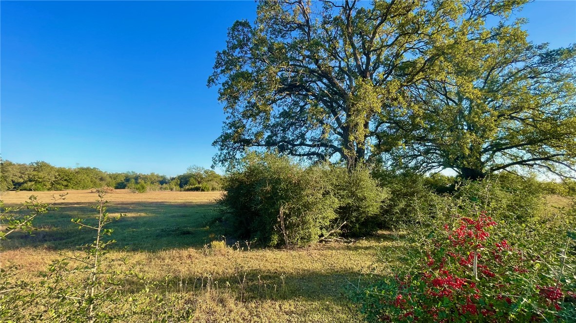 9201 FM 2096 (+/-44.13 acres)