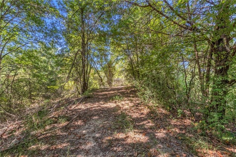 Tiny photo for 9769 FM 2096, Franklin, TX 77856 (MLS # 26010769)