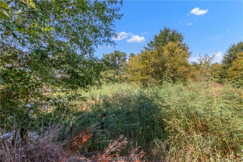 Tiny photo for 9769 FM 2096, Franklin, TX 77856 (MLS # 26010769)