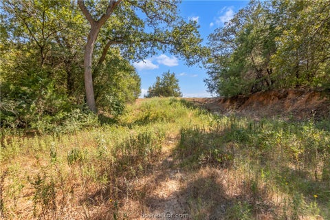 Tiny photo for 9769 FM 2096, Franklin, TX 77856 (MLS # 26010769)