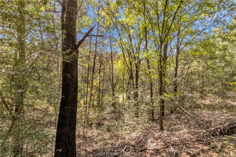 Tiny photo for 9769 FM 2096, Franklin, TX 77856 (MLS # 26010769)
