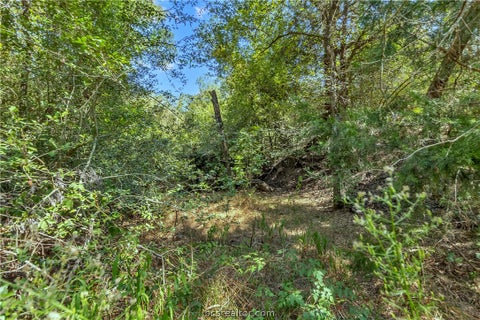 Tiny photo for 9769 FM 2096, Franklin, TX 77856 (MLS # 26010769)