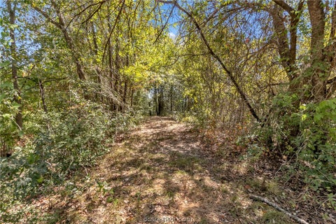 Tiny photo for 9769 FM 2096, Franklin, TX 77856 (MLS # 26010769)