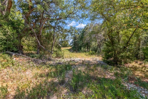 Tiny photo for 9769 FM 2096, Franklin, TX 77856 (MLS # 26010769)