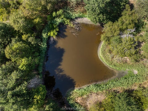 Tiny photo for 9769 FM 2096, Franklin, TX 77856 (MLS # 26010769)