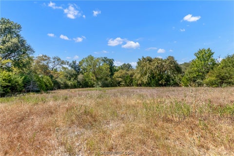 Tiny photo for 9769 FM 2096, Franklin, TX 77856 (MLS # 26010769)