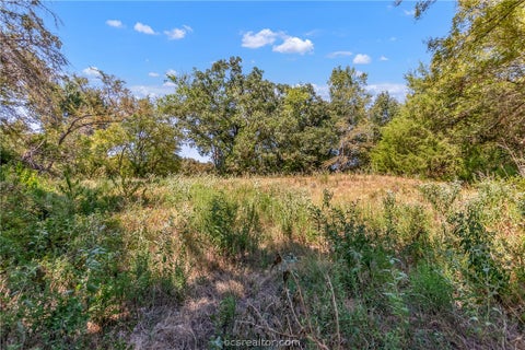 Tiny photo for 9769 FM 2096, Franklin, TX 77856 (MLS # 26010769)