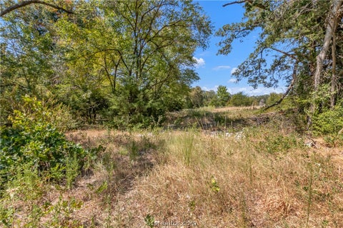 Tiny photo for 9769 FM 2096, Franklin, TX 77856 (MLS # 26010769)