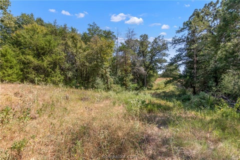 Tiny photo for 9769 FM 2096, Franklin, TX 77856 (MLS # 26010769)