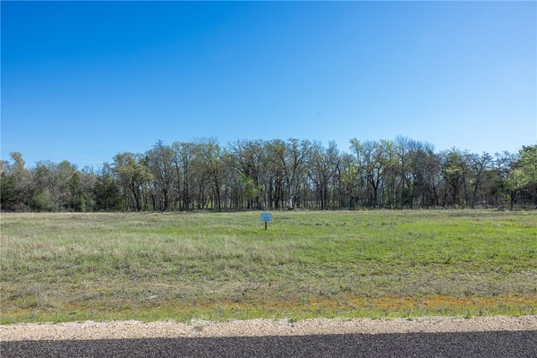 LEEDALE LN, ROGERS, TX 76569 - Image b3fa3ba67dd7d3add2b9c4737185eb96/999690697