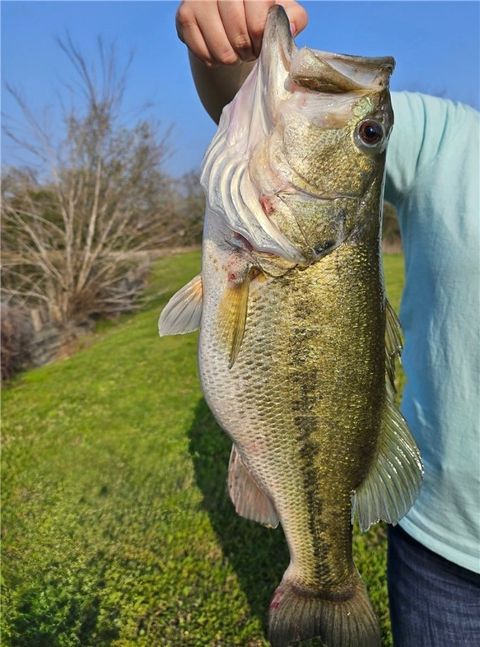 Tiny photo for 11132 Forest Drive, College Station, TX 77845 (MLS # 25011213)