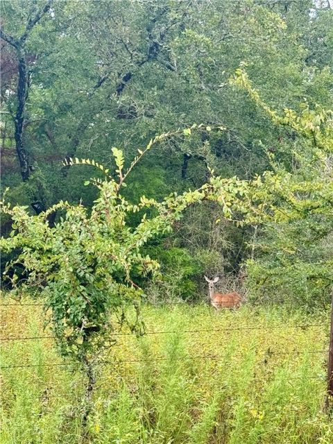 Tiny photo for 11132 Forest Drive, College Station, TX 77845 (MLS # 25011213)