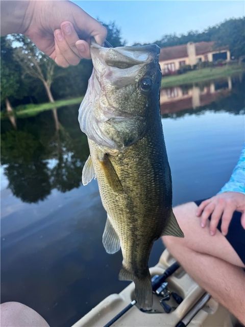 Tiny photo for 11132 Forest Drive, College Station, TX 77845 (MLS # 25011213)