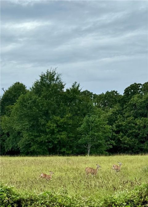 Tiny photo for 11132 Forest Drive, College Station, TX 77845 (MLS # 25011213)