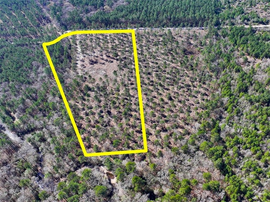 BOONTOWN RD, GROVETON, TX 75845 - Image b73fe6fac51a2cdaefbdc86cec5666d5/3920253699