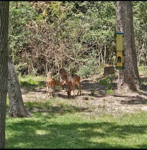 Tiny photo for 1007 Falcon Circle, College Station, TX 77845 (MLS # 26001078)