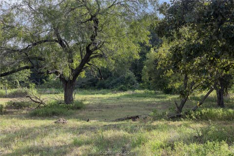 Tiny photo for 8914 Gilpin Lane, Iola, TX 77861 (MLS # 26010695)