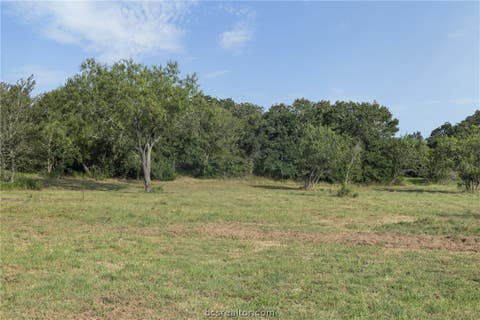 Tiny photo for 8914 Gilpin Lane, Iola, TX 77861 (MLS # 26010695)