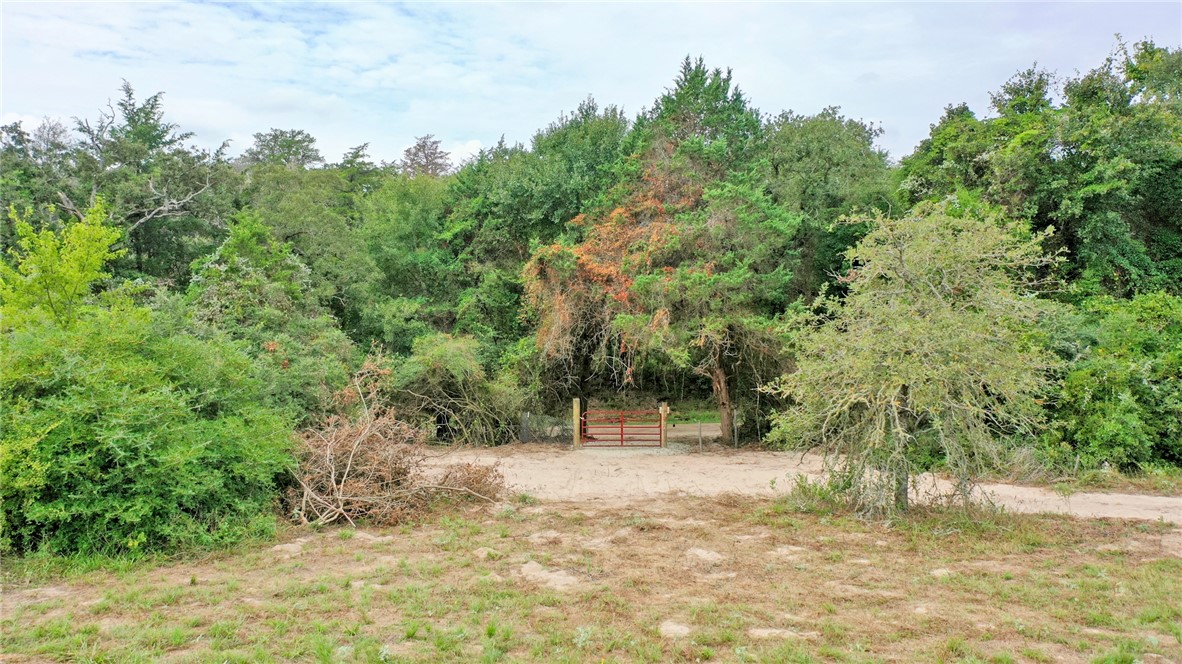 Caldwell, Texas 77836, United States, ,Land,Active,178637