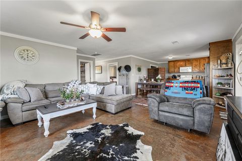 Tiny photo for 7271 County Road 118, Iola, TX 77861 (MLS # 26006025)