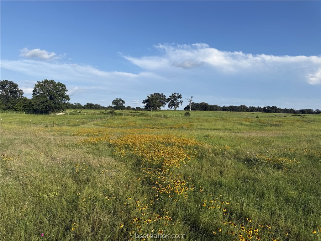 15567 CR 476 CountyRoad