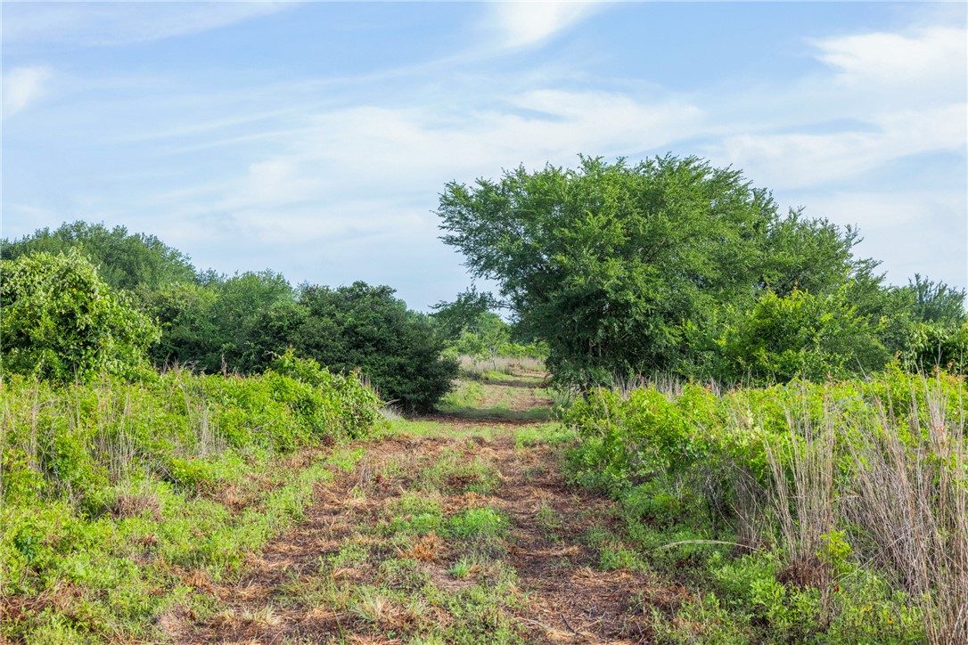 5241 County Road 358