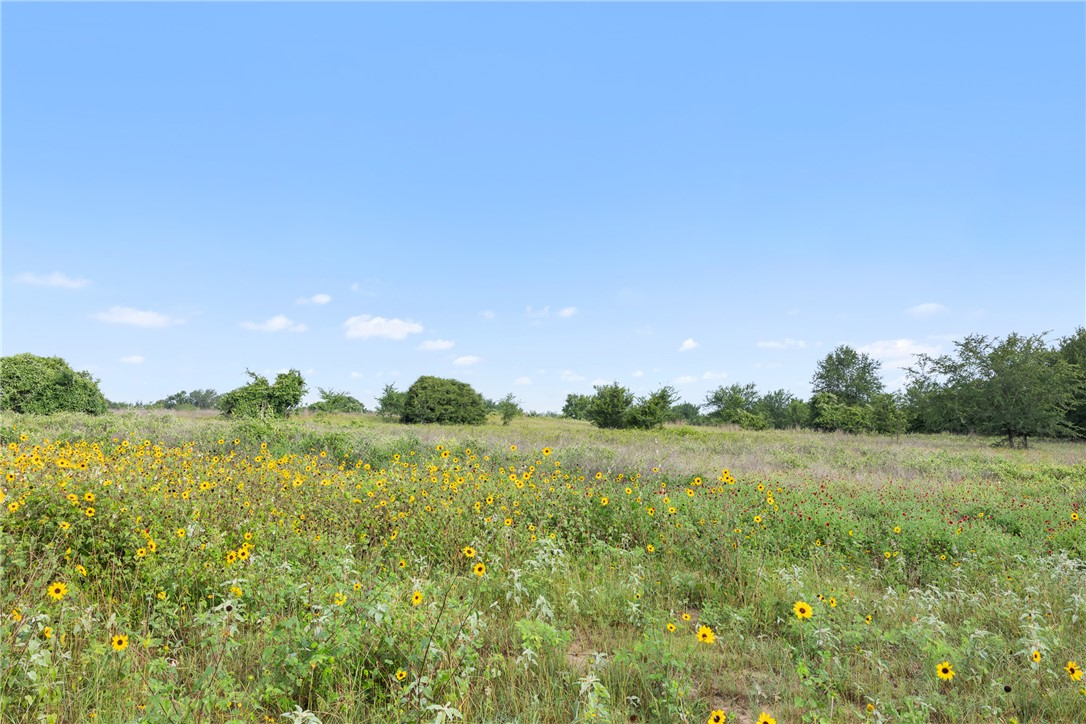 5241 County Road 358