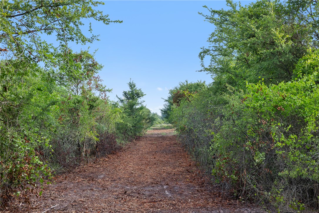 5241 County Road 358